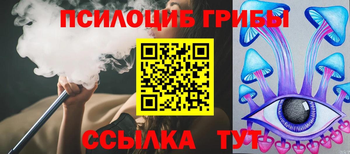 Мариинск  Галлюциногенные грибы прущие грибы  Вход с VPN 